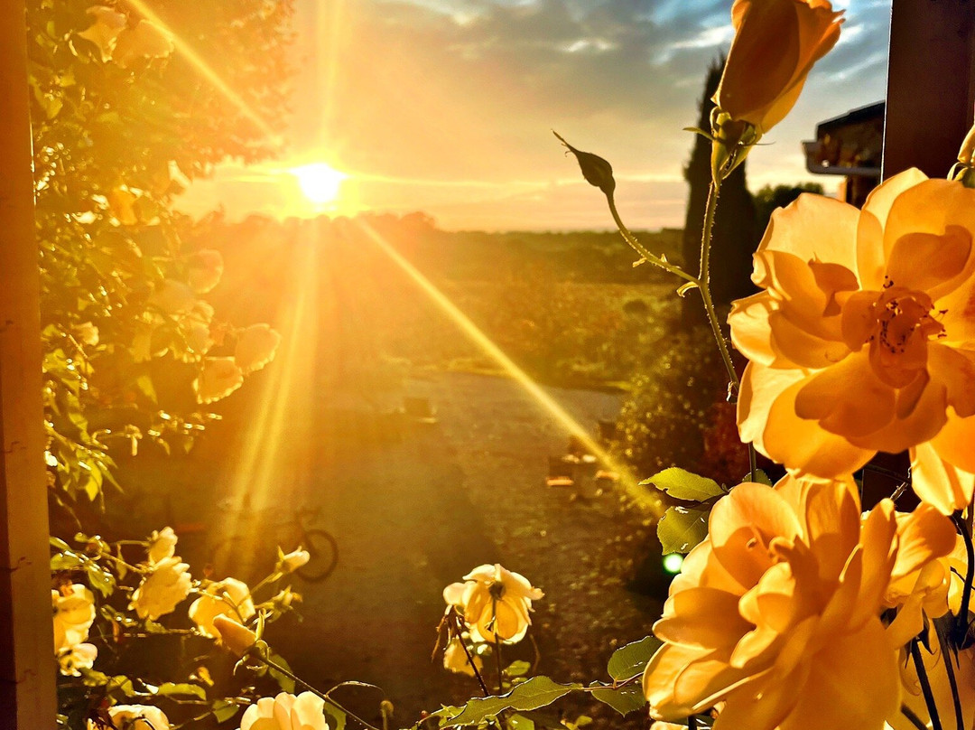 Le Clos Saint Saourde & SPA主图