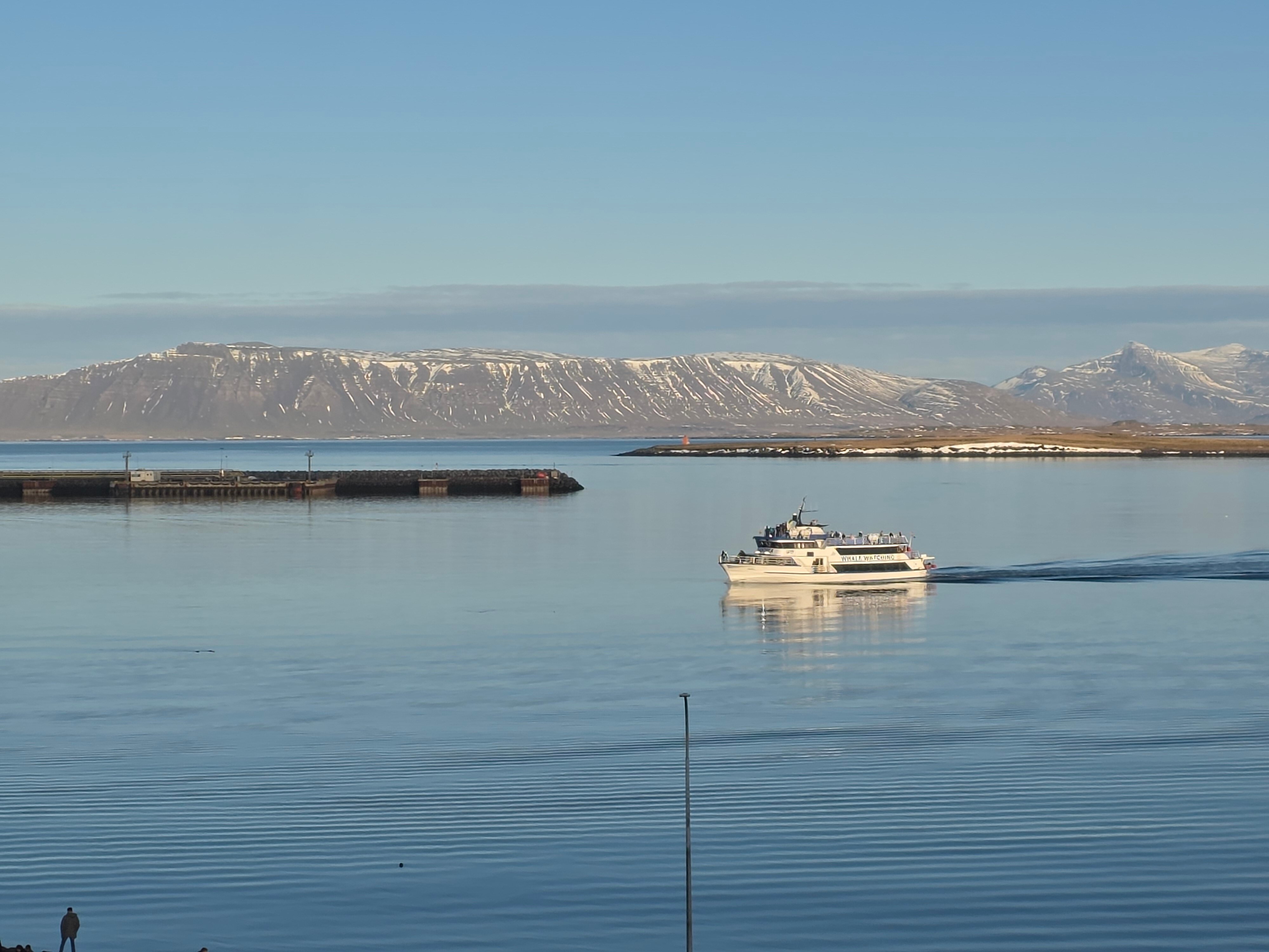阿娜尔沃尔中央酒店-官方