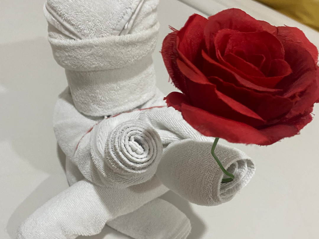 Metro Park View Hotel Kota Lama Semarang主图