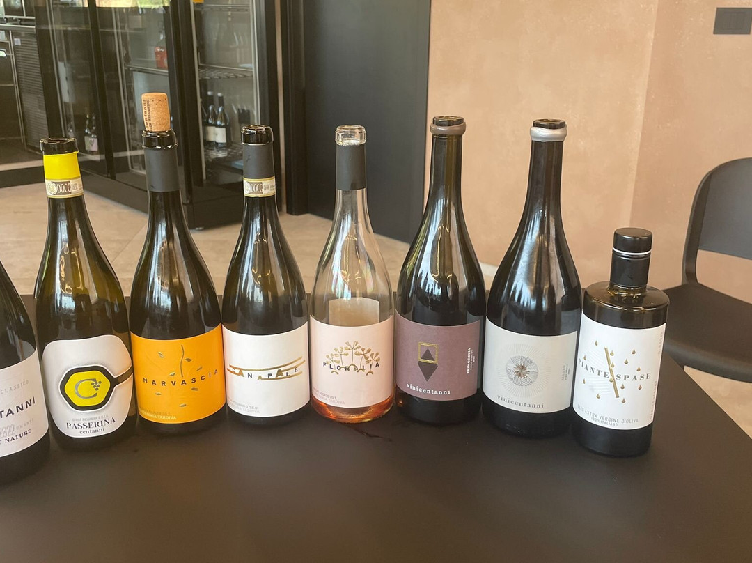 Cantina Centianni-Montefiore dell'Aso必去景点