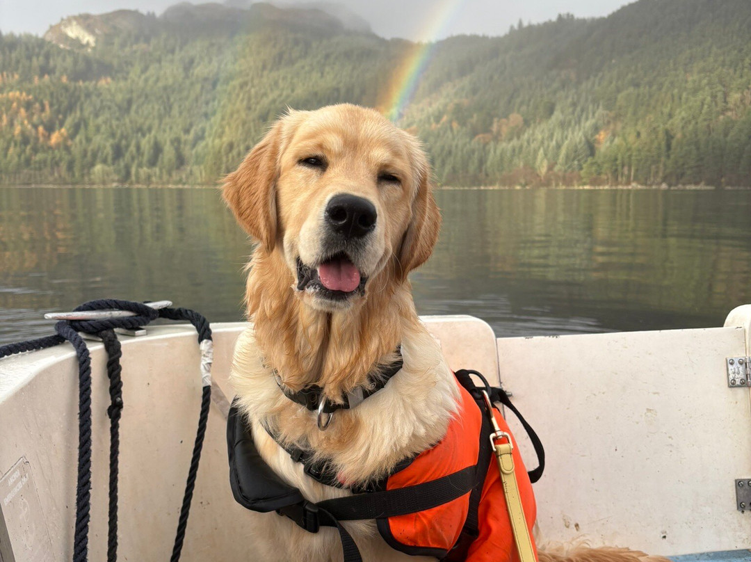 Loch Goil Cruisers-Lochgoilhead必去景点