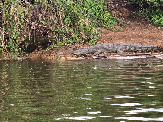 Hills in the Mist Tours-吉佳利必去景点