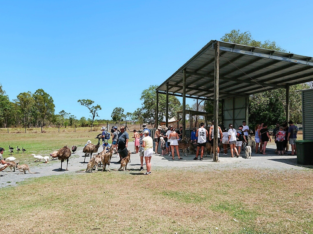 Bredl's Wildlife-艾尔利滩必去景点