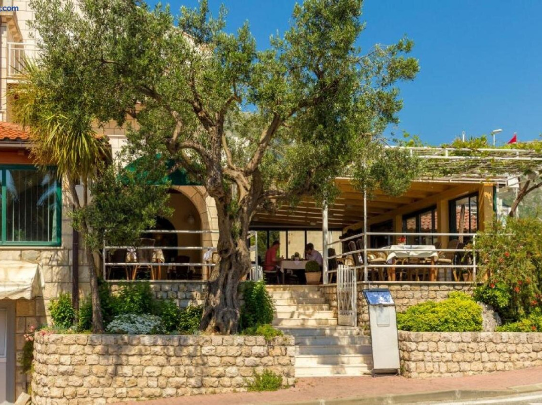 Pansion Costeria Srebreno主图