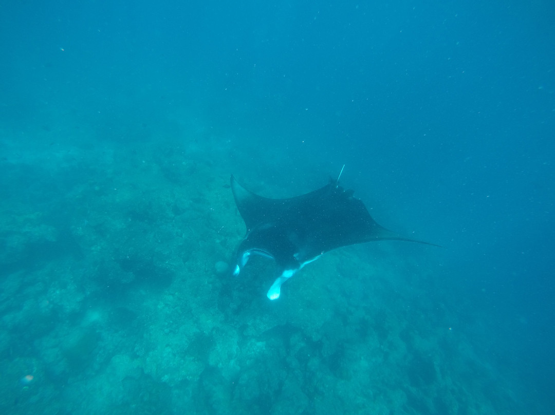 Barukoli sport fishing and excursions-Dharavandhoo必去景点