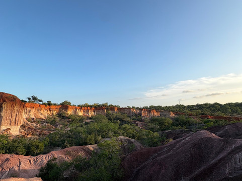 Little Lion Kenya con Rondo Veneziano-瓦塔木必去景点