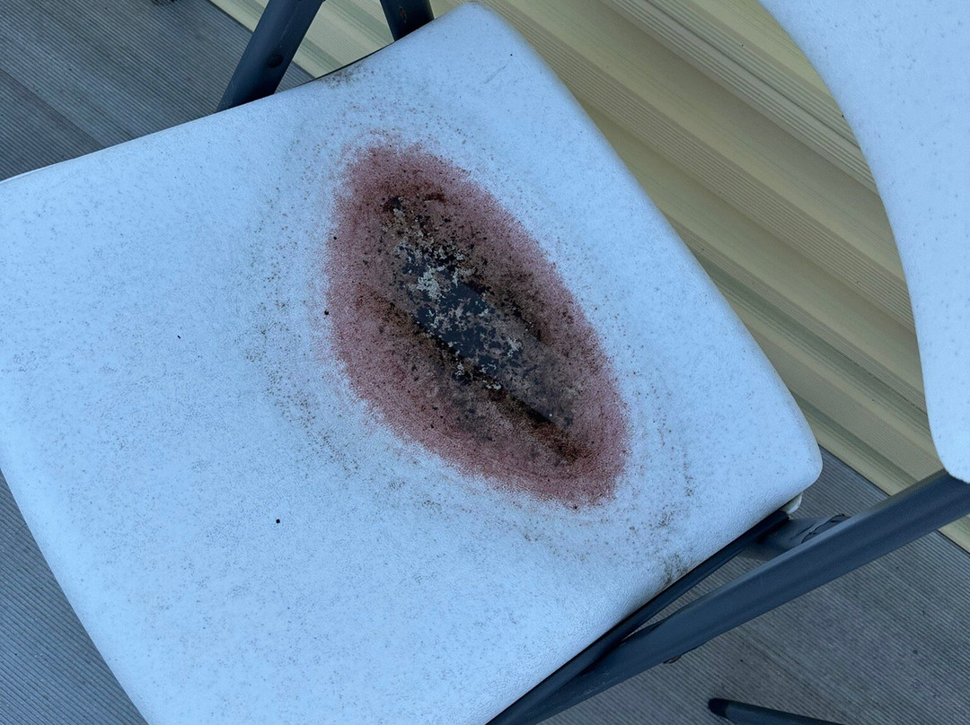 Watkins Glen International-沃特金斯格伦必去景点