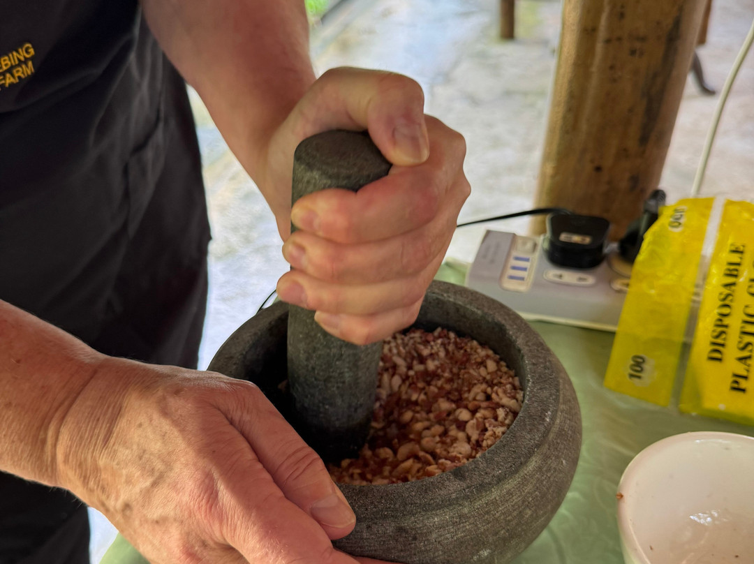 Langkawi Cooking School at Buluh & Tebing Organic Farm-兰卡威必去景点