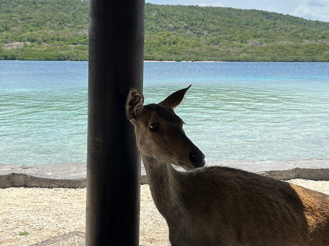 West Bali Adventure-西巴厘岛国家公园必去景点