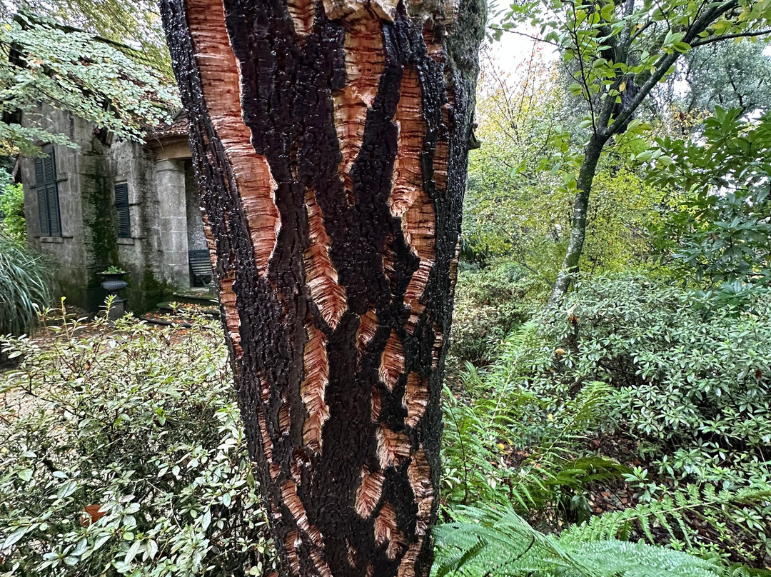 Quinta da Aveleda-Penafiel必去景点