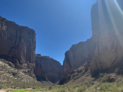 Dinosaur Trips-卡尔加里必去景点