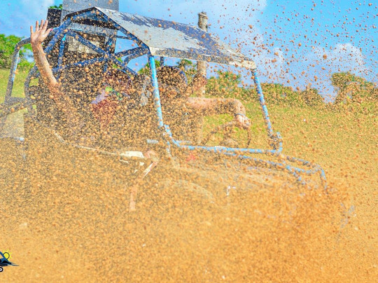 The Best Excursion Services Punta Cana-Uvero Alto必去景点