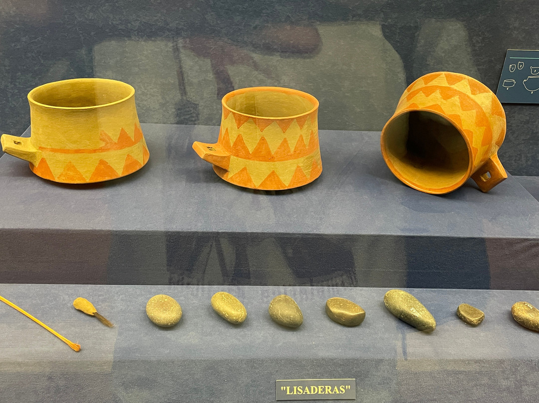 El Museo Canario-大加那利岛拉斯帕尔马斯必去景点