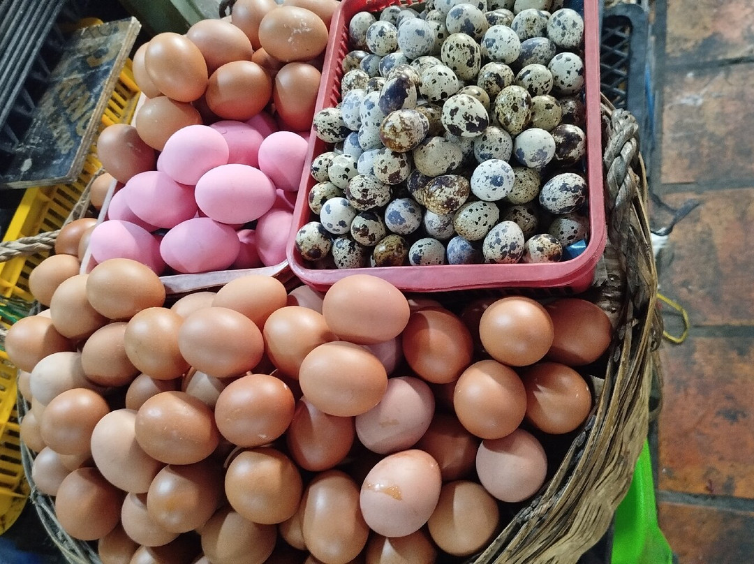 俄罗斯市场-金边必去景点