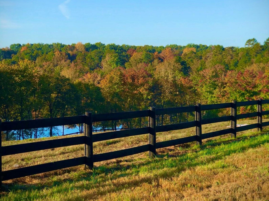 Shenandoah Wilderness Traveler