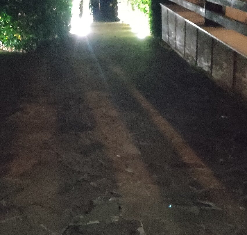 Fattoria Sotto Il Cielo主图