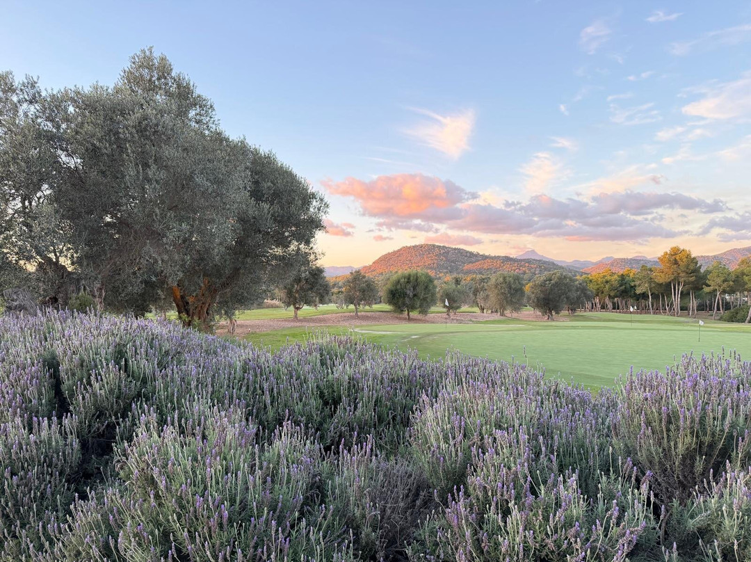 T Golf Calvia-卡尔维亚必去景点