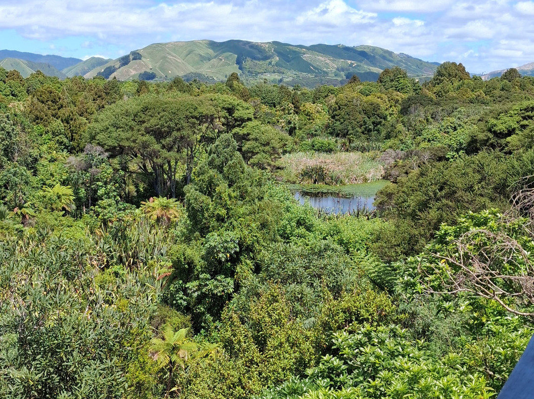 Ngā Manu Nature Reserve-怀卡尼必去景点