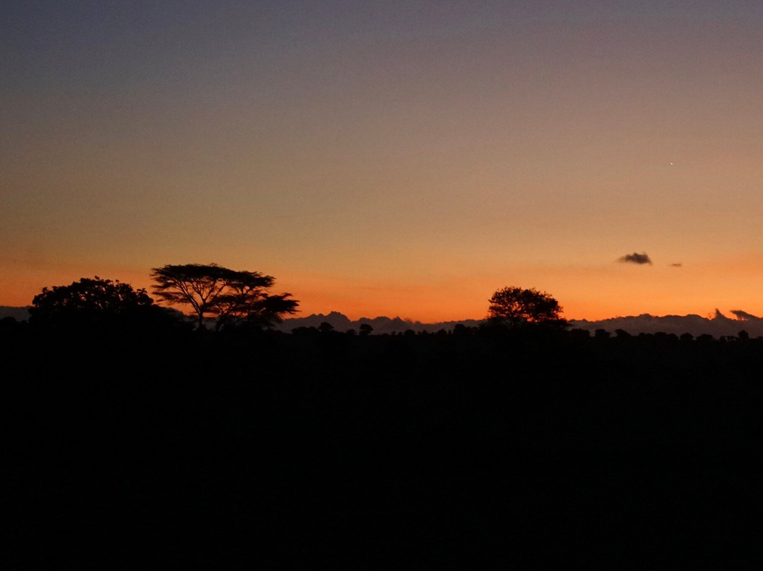 Ngatunga Tours-乞力马扎罗山国家公园必去景点