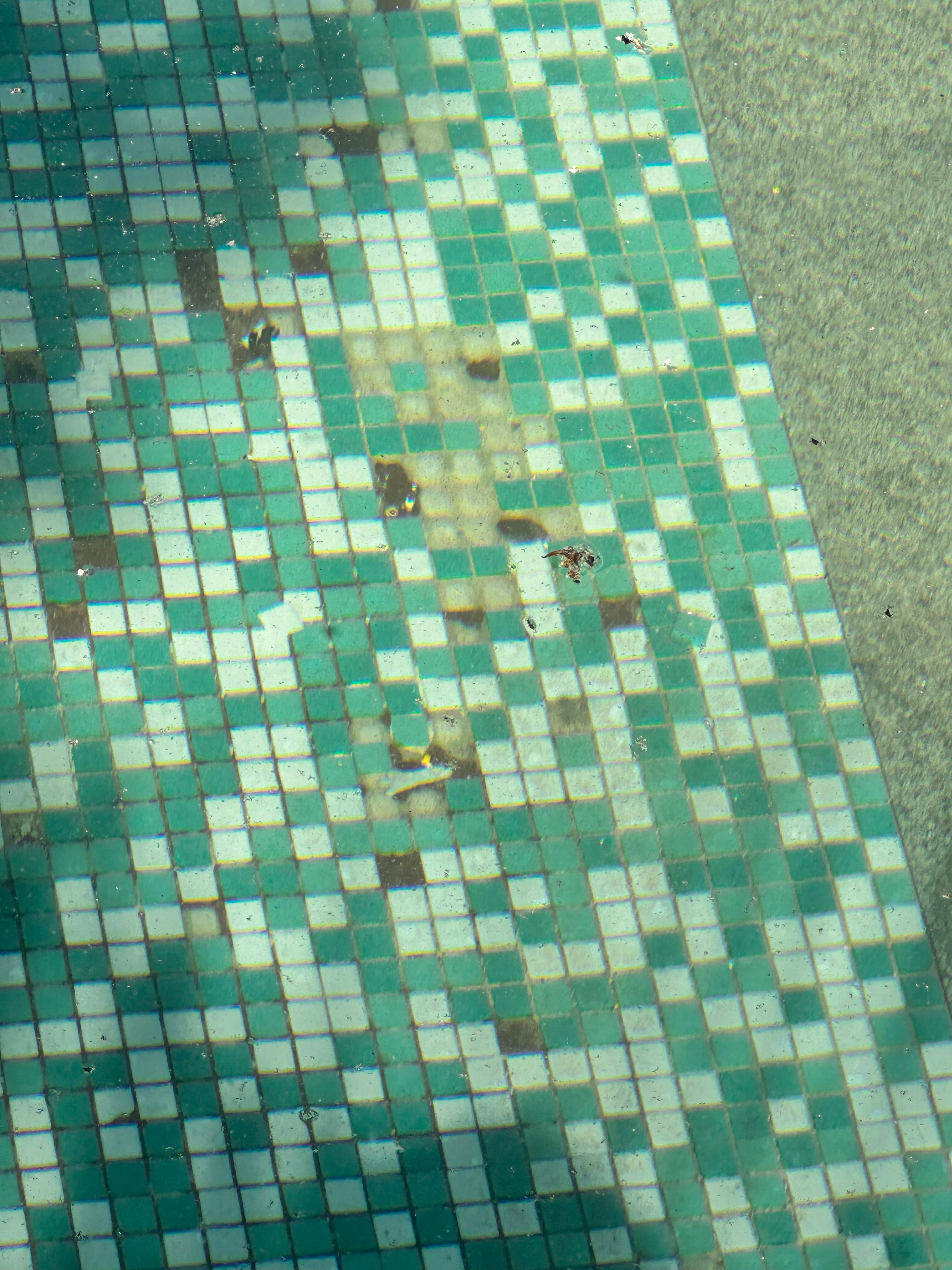 Hotel Citrus Prime-官方