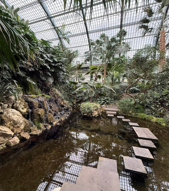 棕榈树公园-法兰克福必去景点