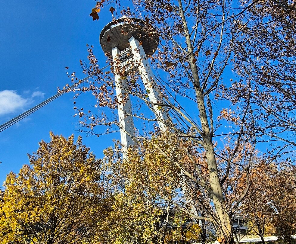 Sad Janka Kráľa-布拉迪斯拉发必去景点