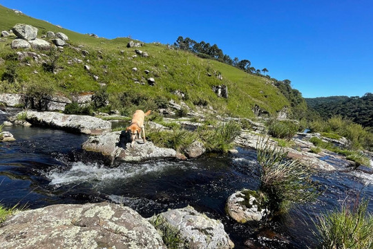 Cachoeira do Perau Branco-Sao Jose dos Ausentes必去景点