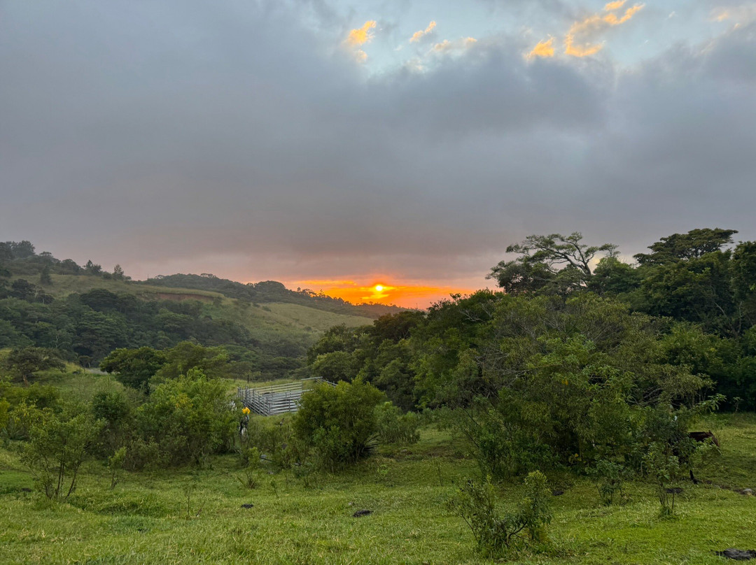Equus Monteverde-Alto Cebadilla必去景点