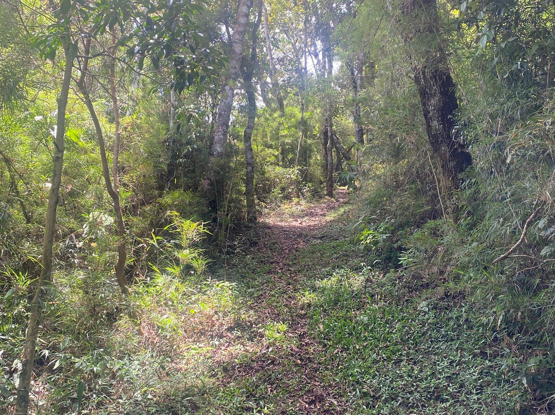 Pedra do Basrnabe-Goncalves必去景点
