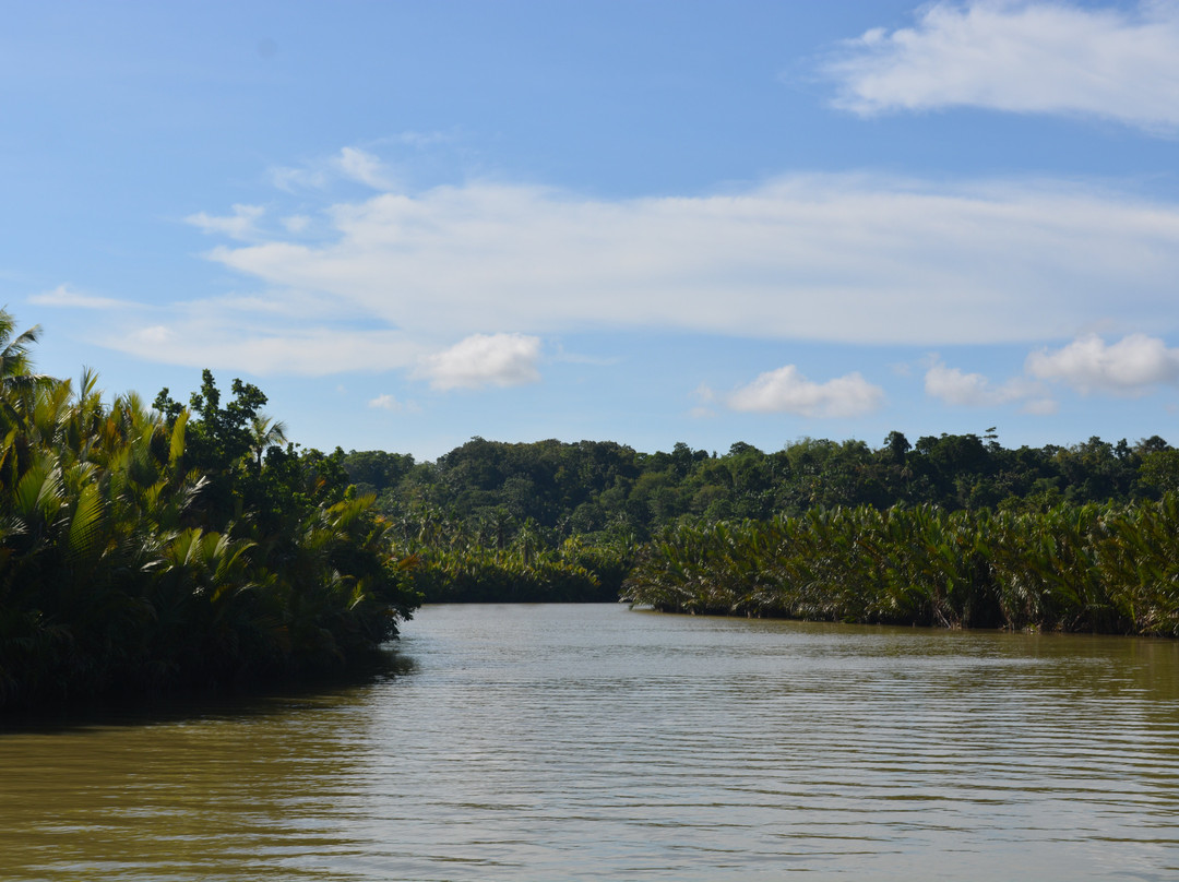CSP Travel & Tours-宿雾市必去景点