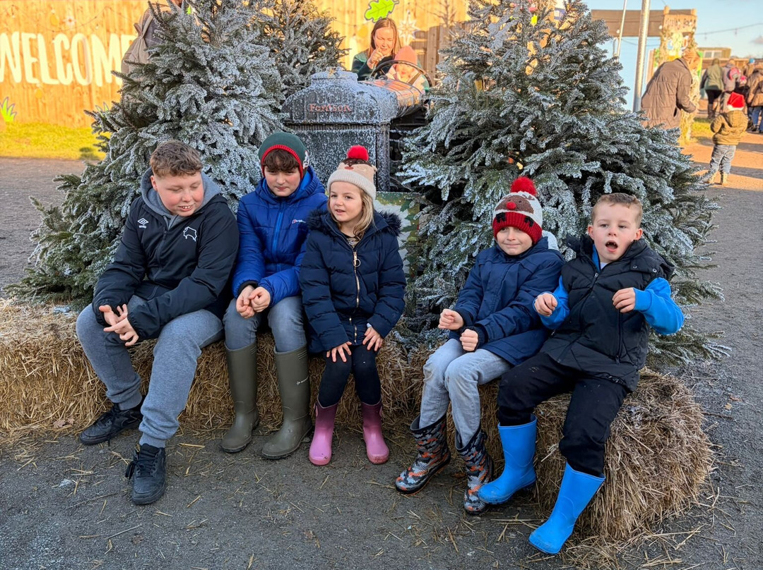 Bluebell Dairy Farm-德比必去景点