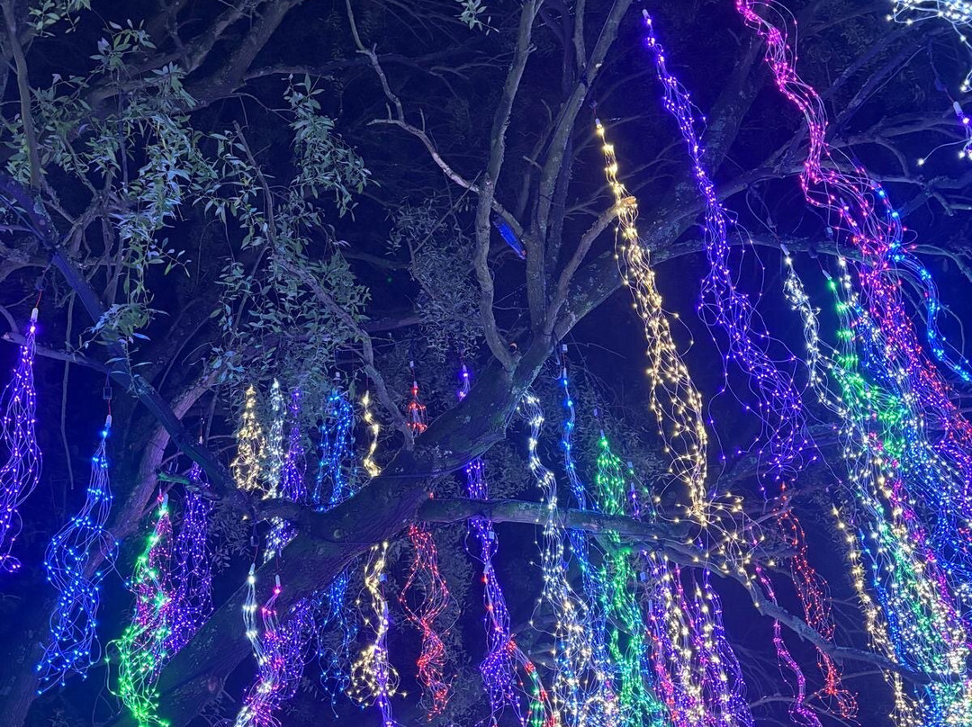 Light Up Trails-罗姆西必去景点