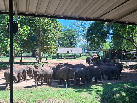 Nimtharu Tours-瓦勒迦玛必去景点
