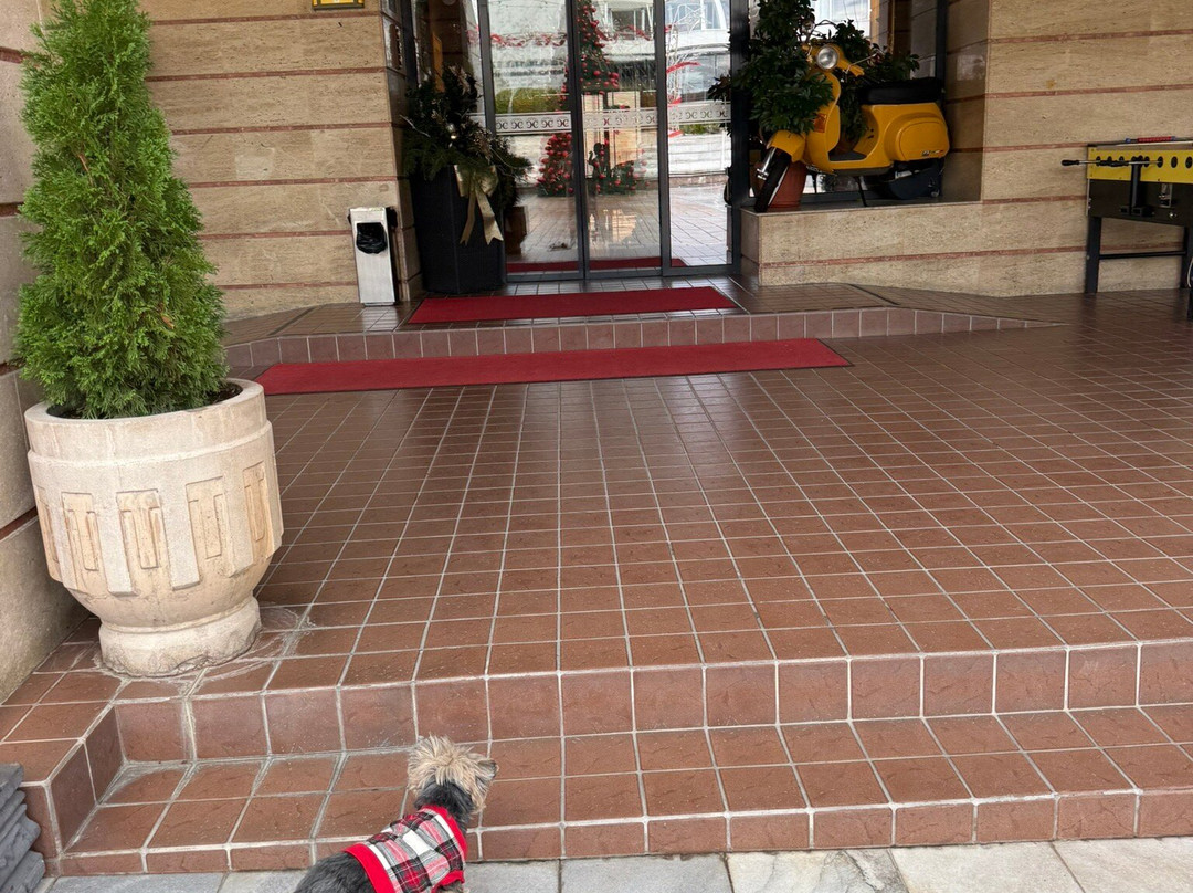 Spa Hotel Spartak主图