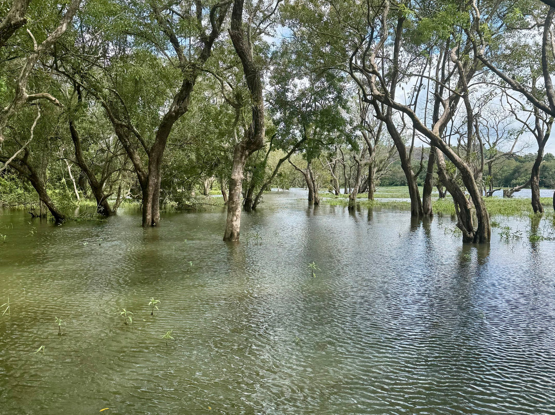 Amarina Holidays-阿努拉德普勒圣城必去景点