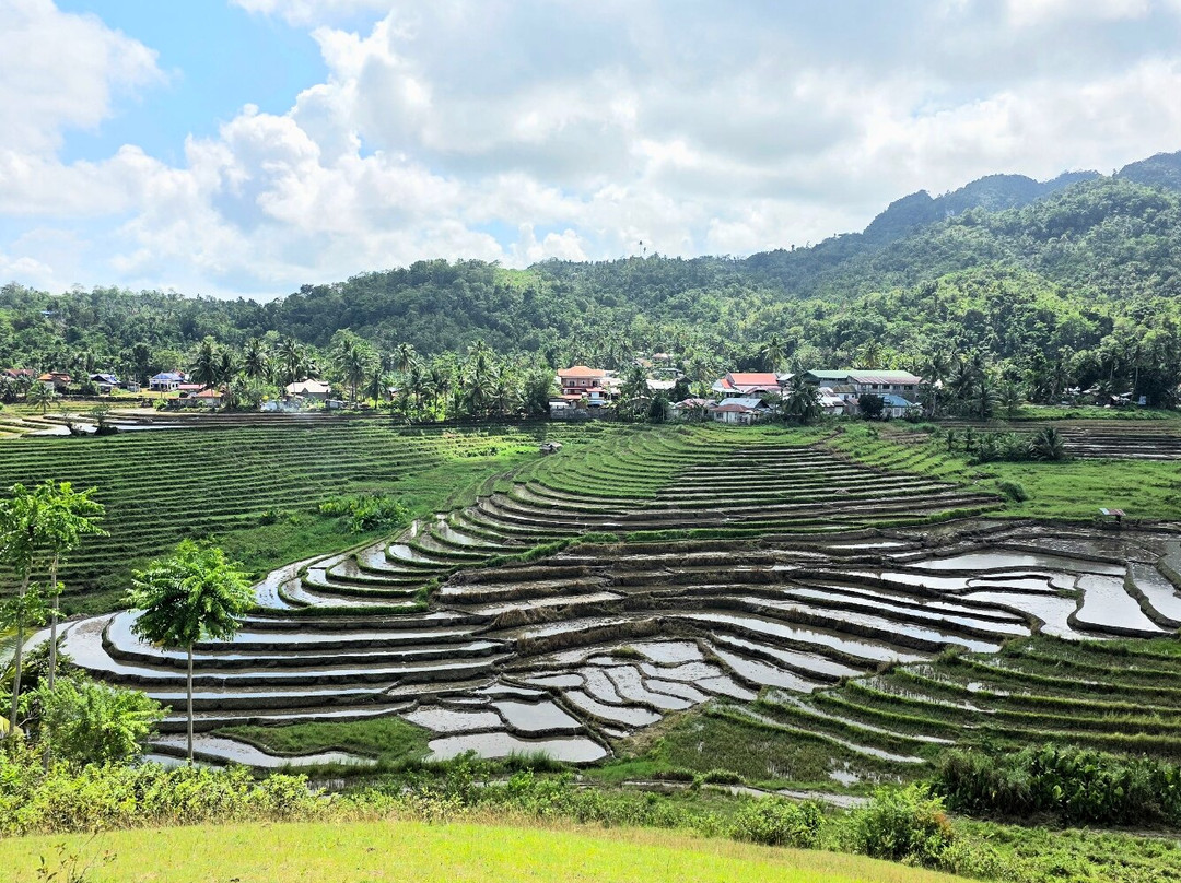 Candapdapan Rice Terraces-Candijay必去景点