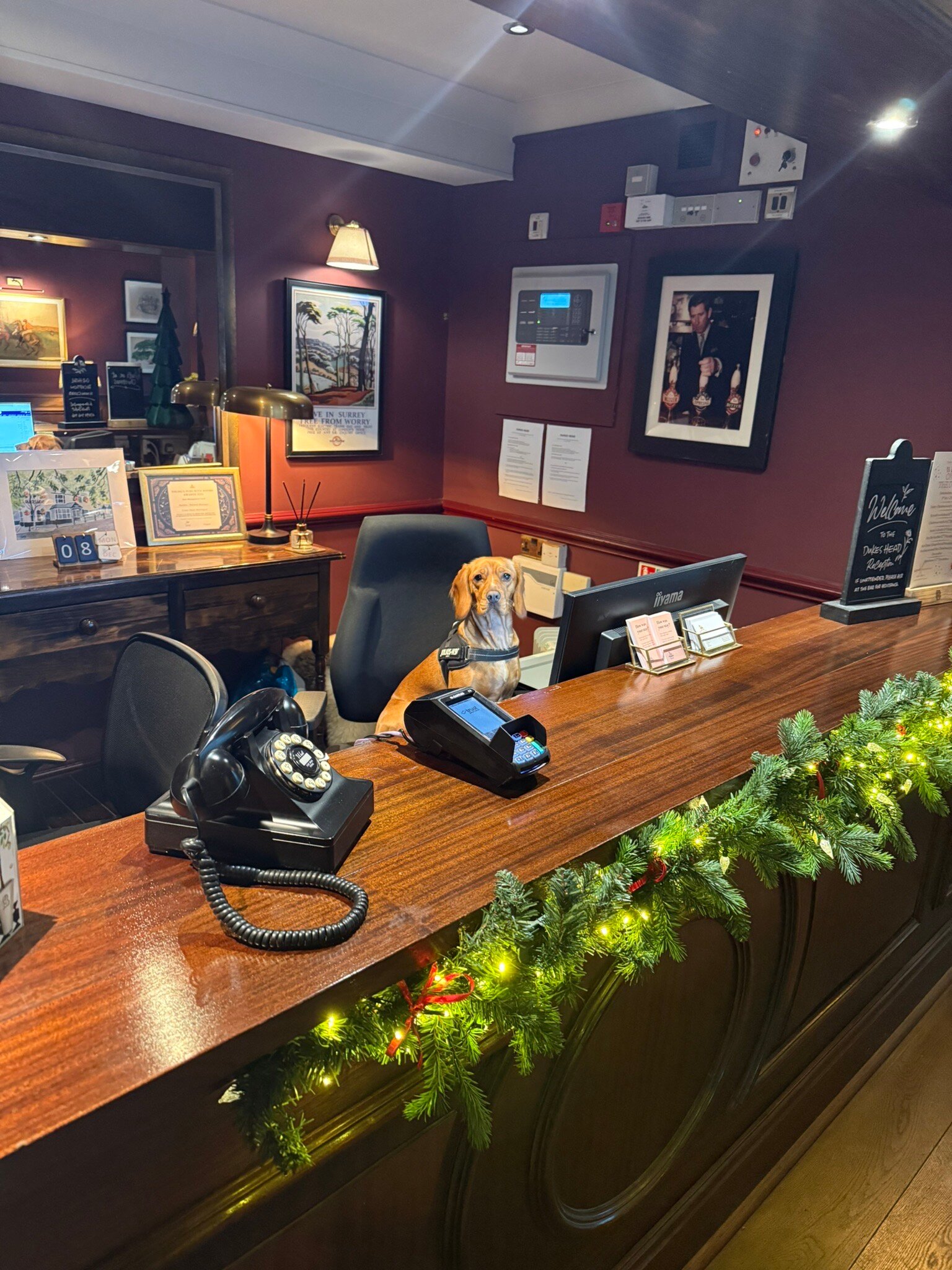 The Duke’s Head-官方