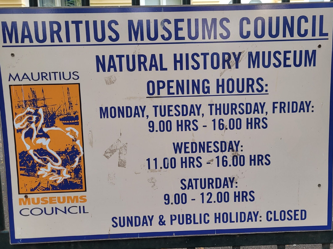 Natural History Museum-路易士港必去景点