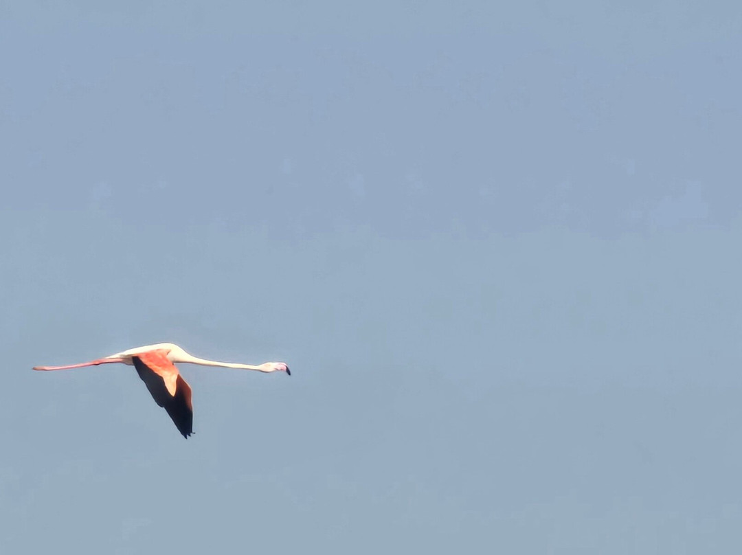 Heaven Of Kutch Khavda To Dholavita Road-Dholavira必去景点