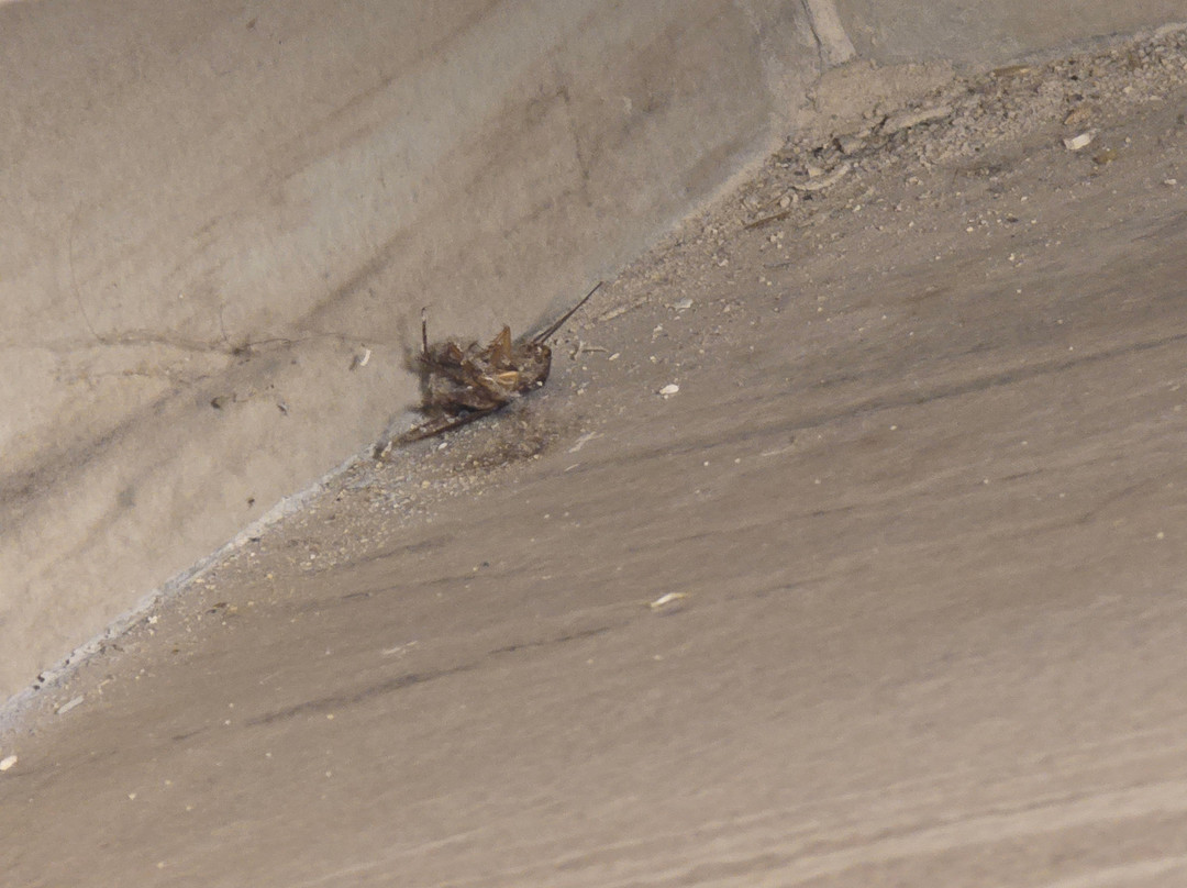 Hotel Casa Kaoba主图