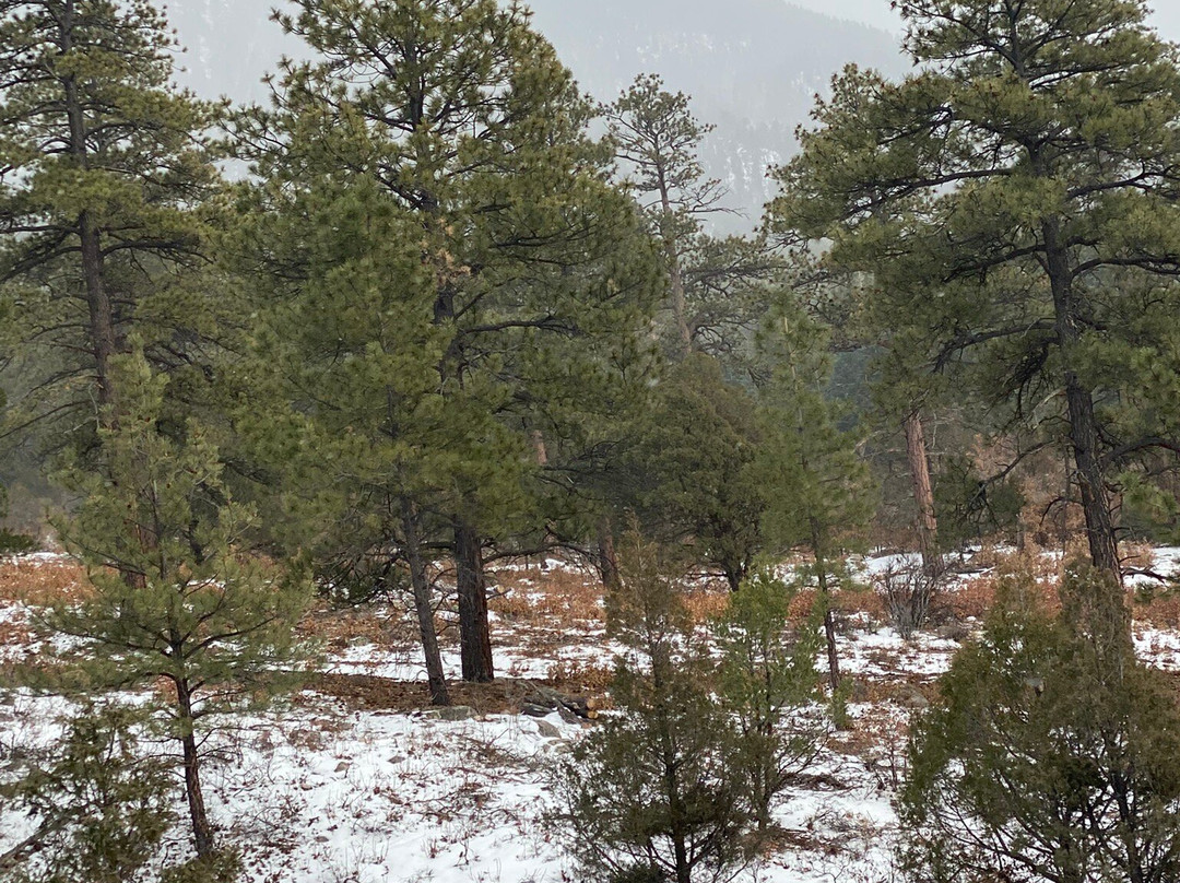 Cabresto Lake Campground