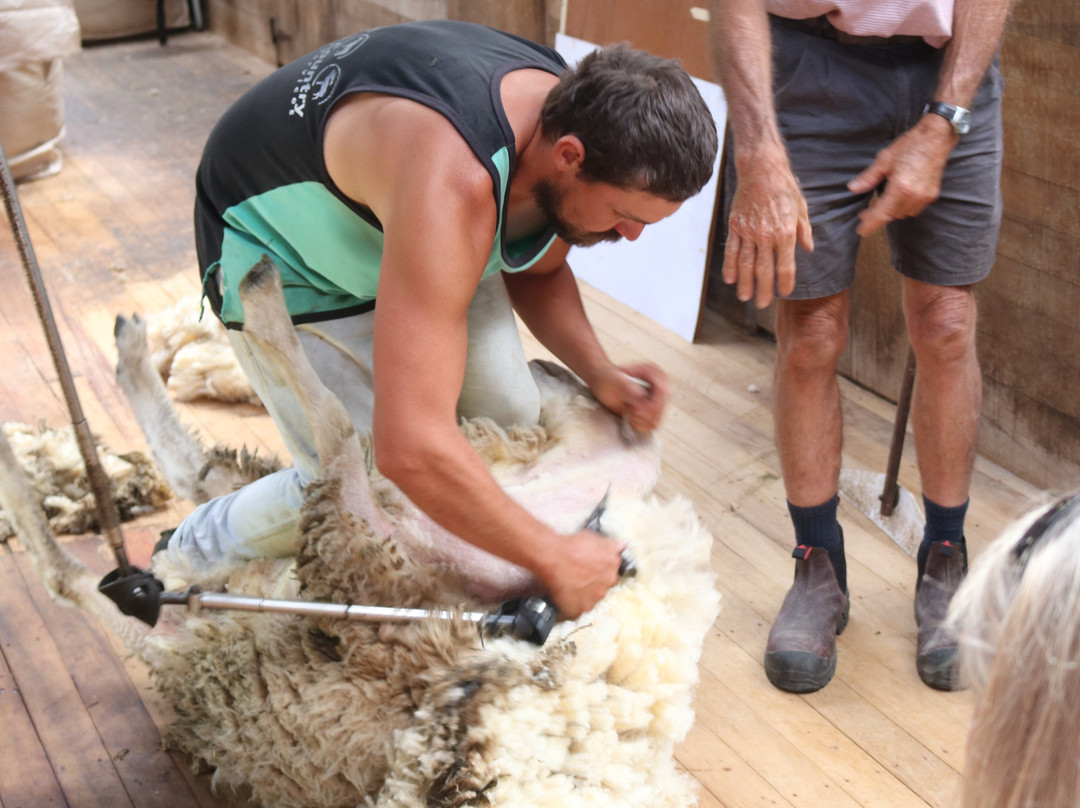 Station Life In Rural New Zealand-吉斯本必去景点