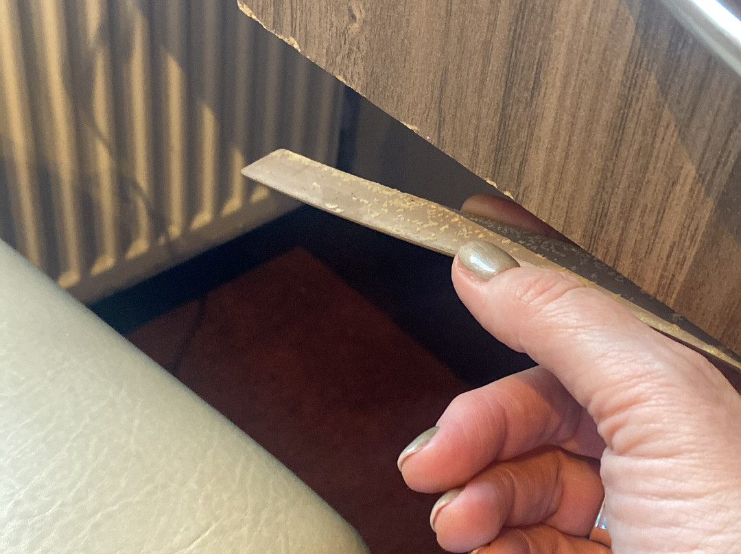 木麻黄树酒店主图