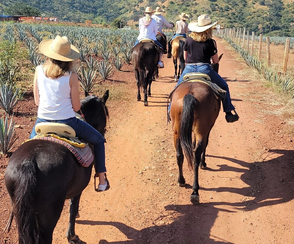 Hacienda el 20-Amatitan必去景点