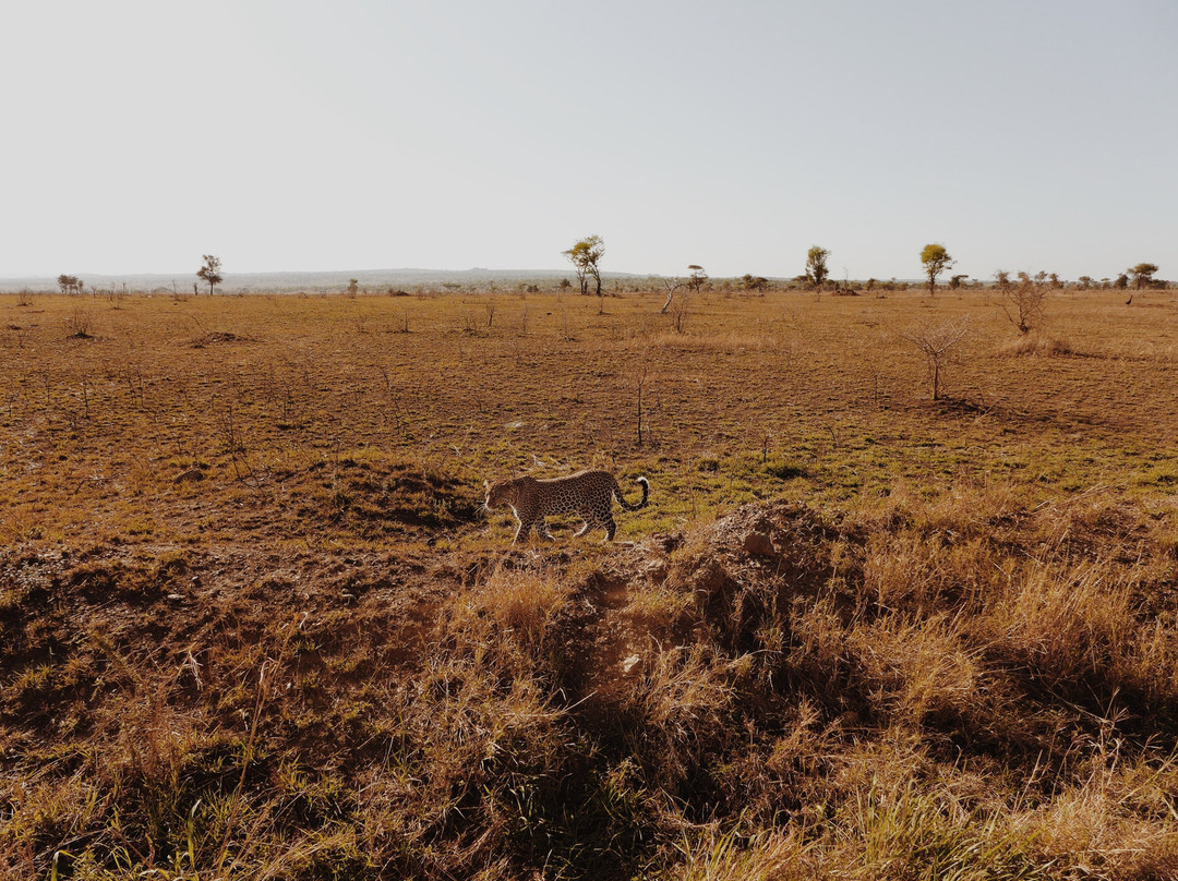 Kimgoni Tanzania Safaris-阿鲁沙必去景点