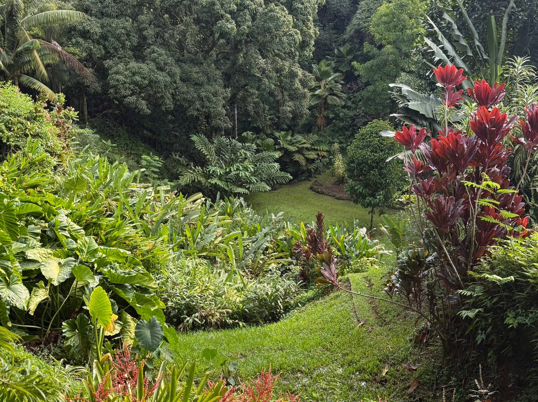 Hanalei Valley Lookout-普林斯维尔必去景点