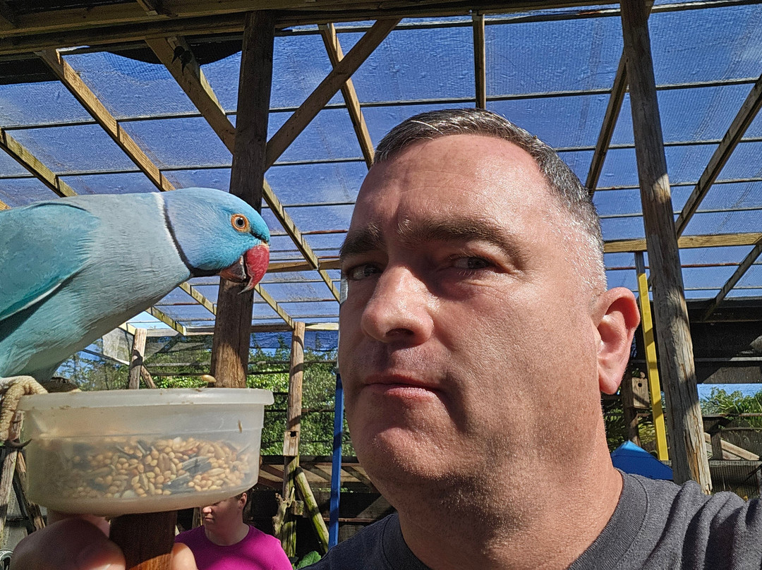 Parotte Ville Bird Sanctuary-圣马丁岛必去景点