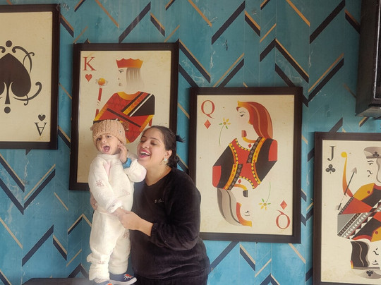 Hotel Clarks Inn Suites Kangra