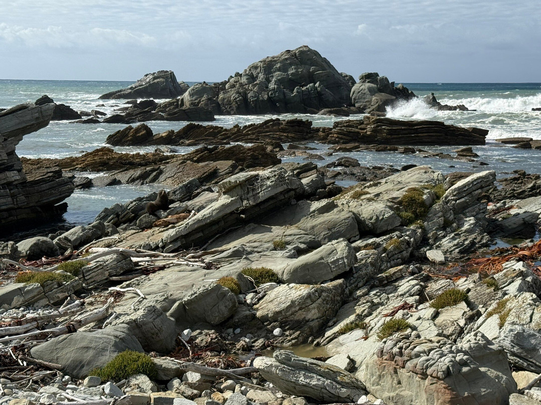Tora Coastal Walk-马丁堡必去景点