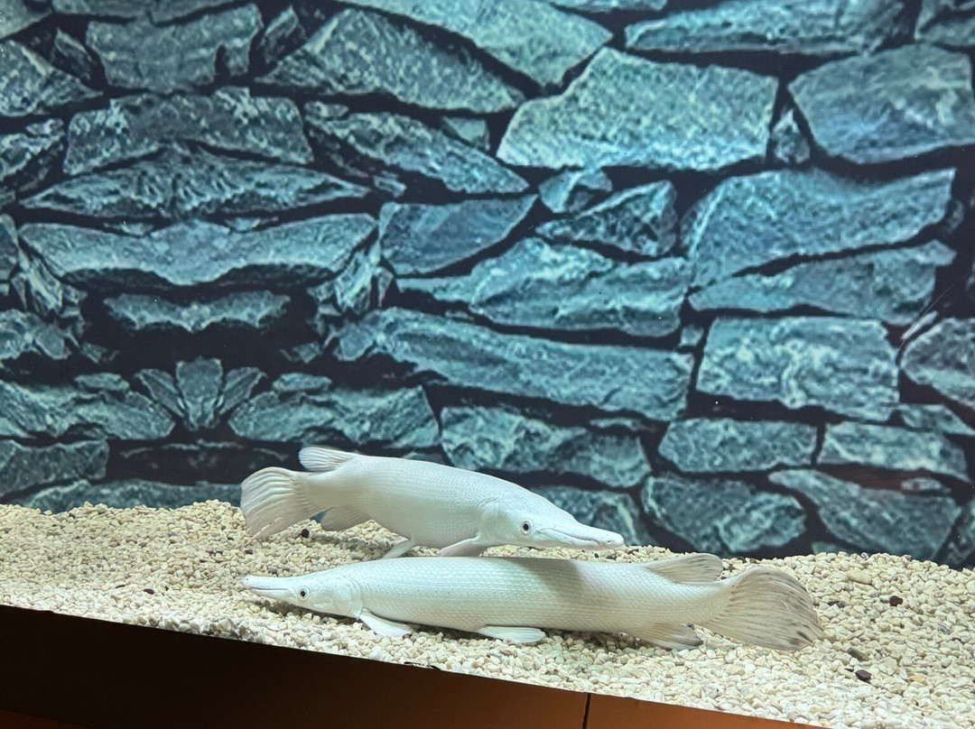 Benz Celebrity Wax Museum-加兰古特必去景点